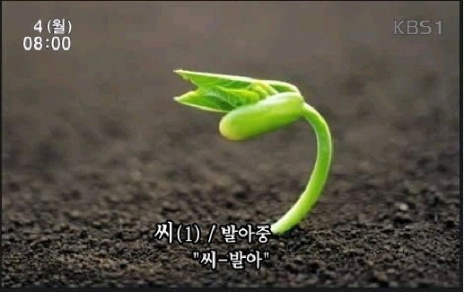 2016년 바보년 첫 씨 발아 | 인스티즈