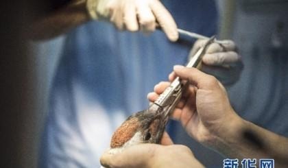 최강조류 | 인스티즈