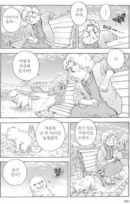 개를 주워 오면 안되는 이유 | 인스티즈