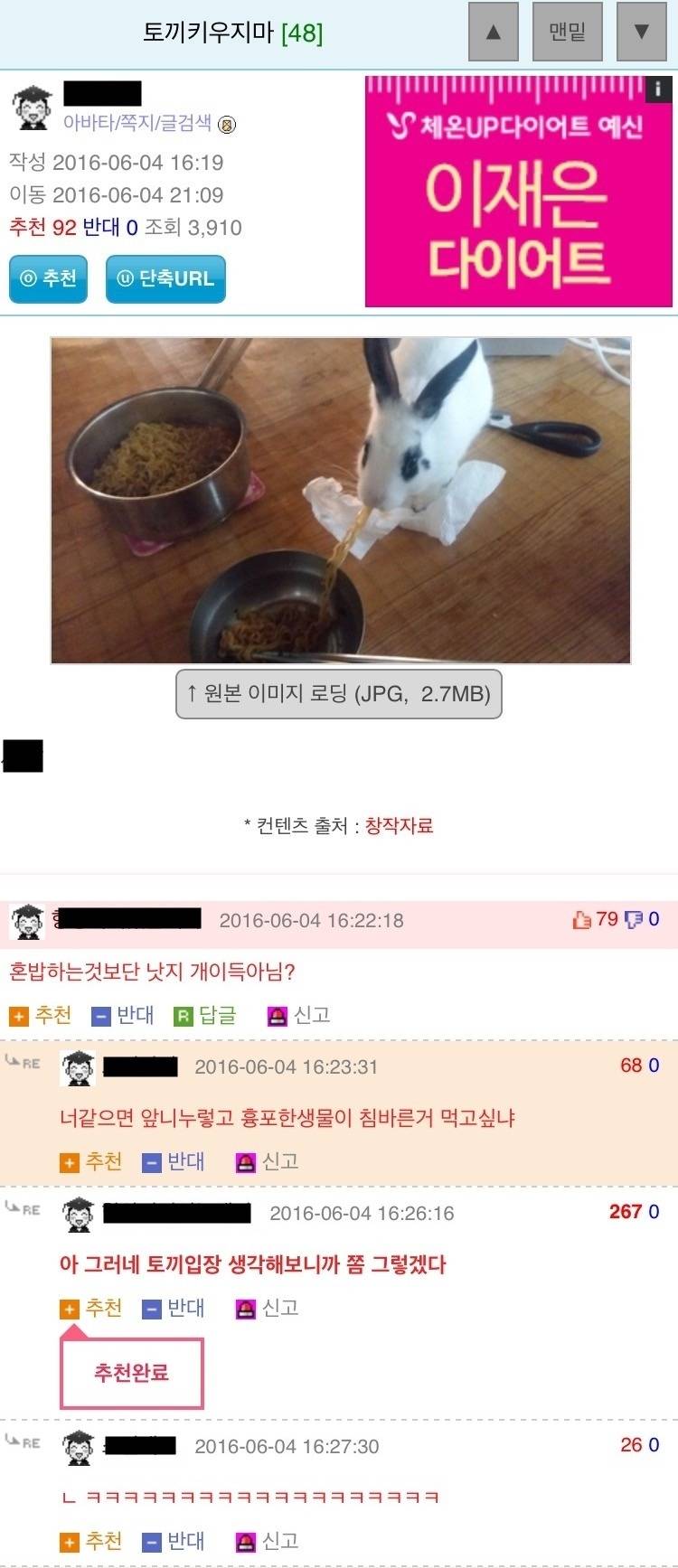 토끼 키우지마라.jpg | 인스티즈