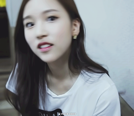 트와이스tv | 인스티즈