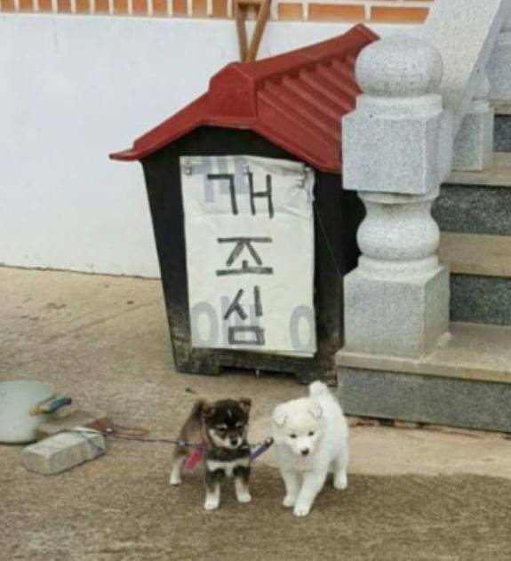 개조심.jpg | 인스티즈