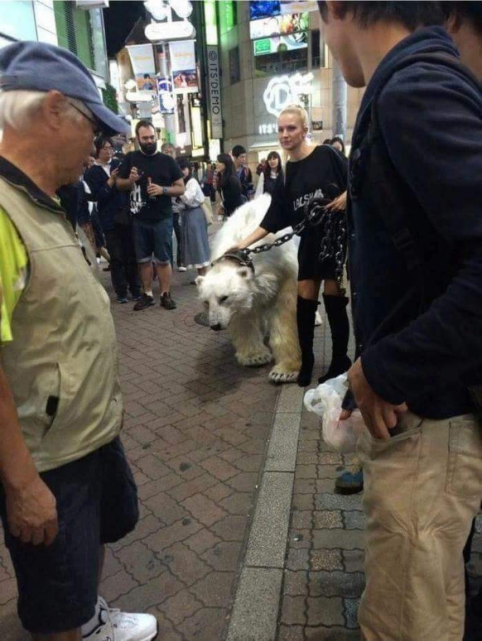 우리 애가 보기보다 순해요 | 인스티즈