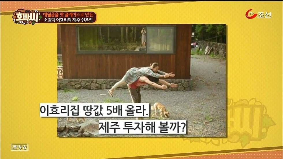 이효리-이상순 부부가 산다는 제주시 애월읍 | 인스티즈