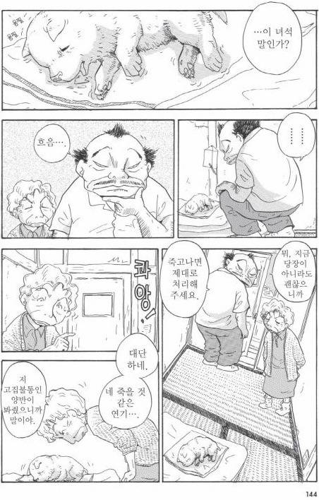 개를 주워 오면 안되는 이유 | 인스티즈