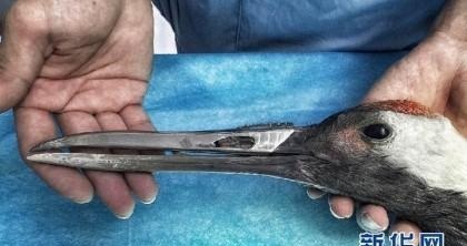 최강조류 | 인스티즈