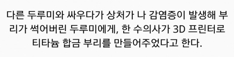 최강조류 | 인스티즈