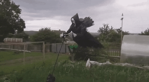 허수아비류 甲 오브 甲 | 인스티즈