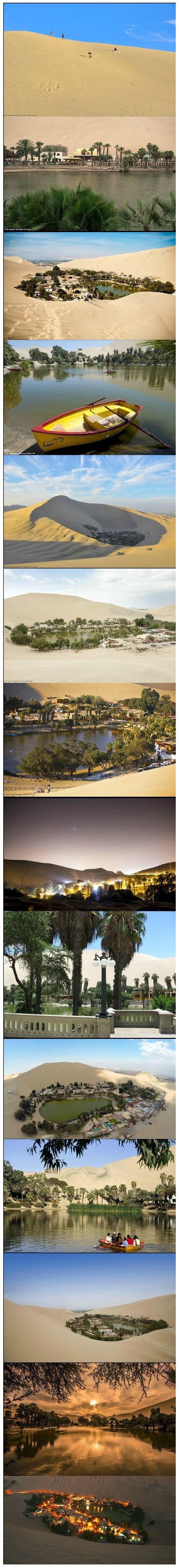 오아시스 마을 | 인스티즈