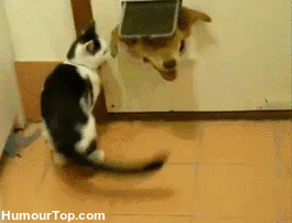 꺼져.GIF | 인스티즈