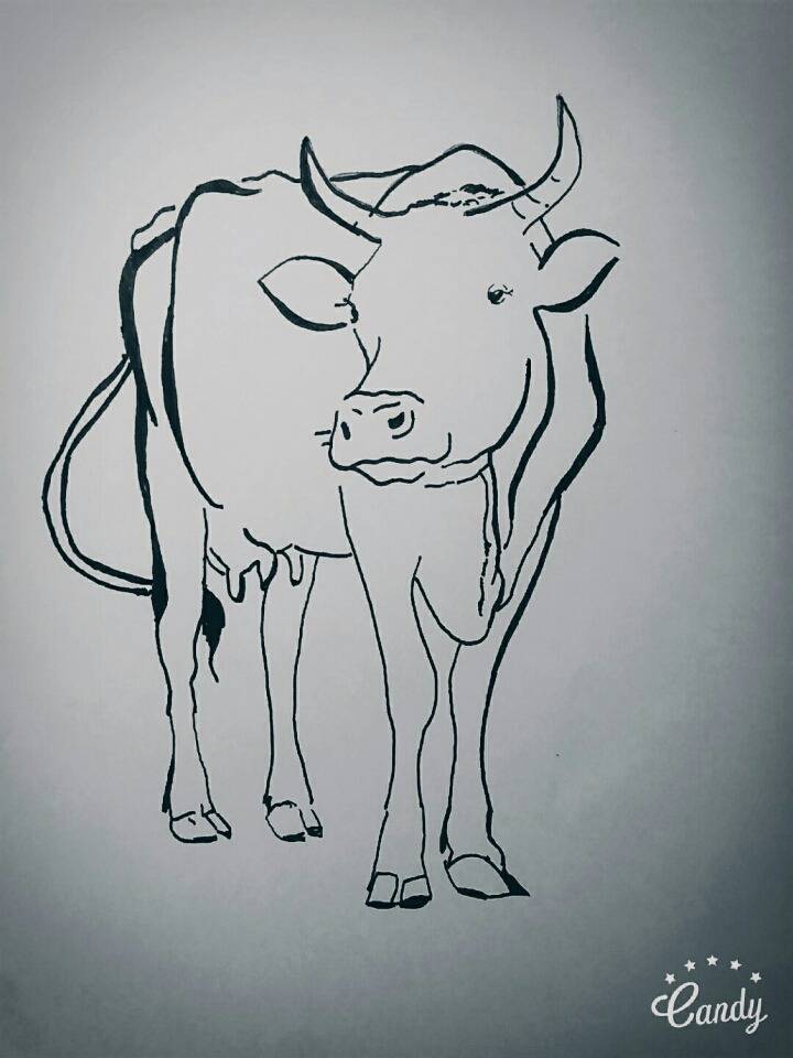 1일 1그림 | 인스티즈