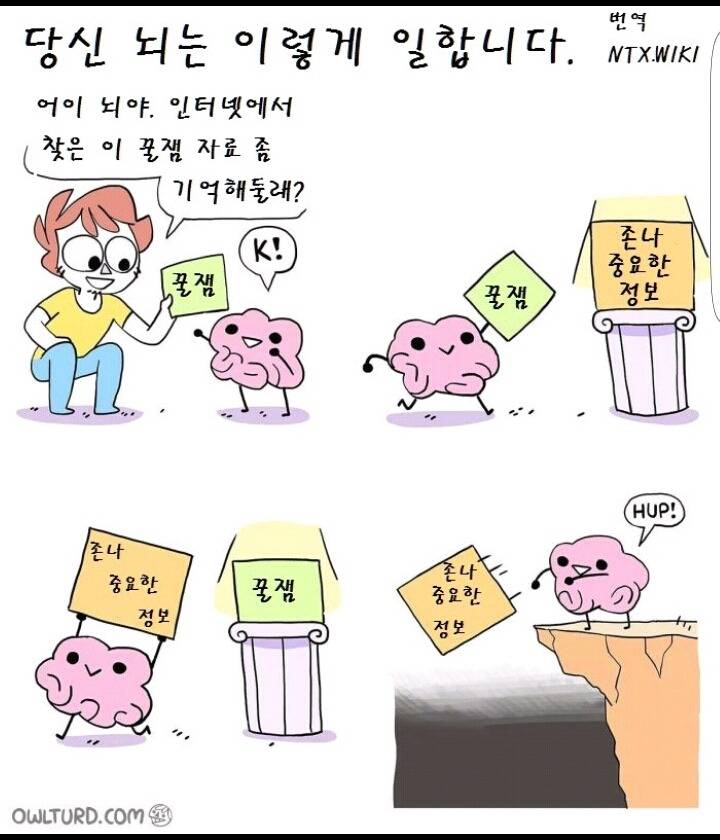 뭔가할때 딴짓 하면 안되는 이유 | 인스티즈