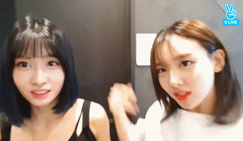 뽀뽀하는 나연 모모 | 인스티즈