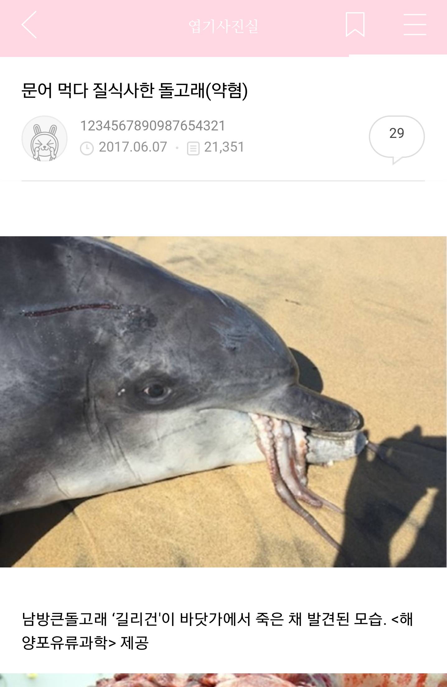 질을 식사했다고요? | 인스티즈