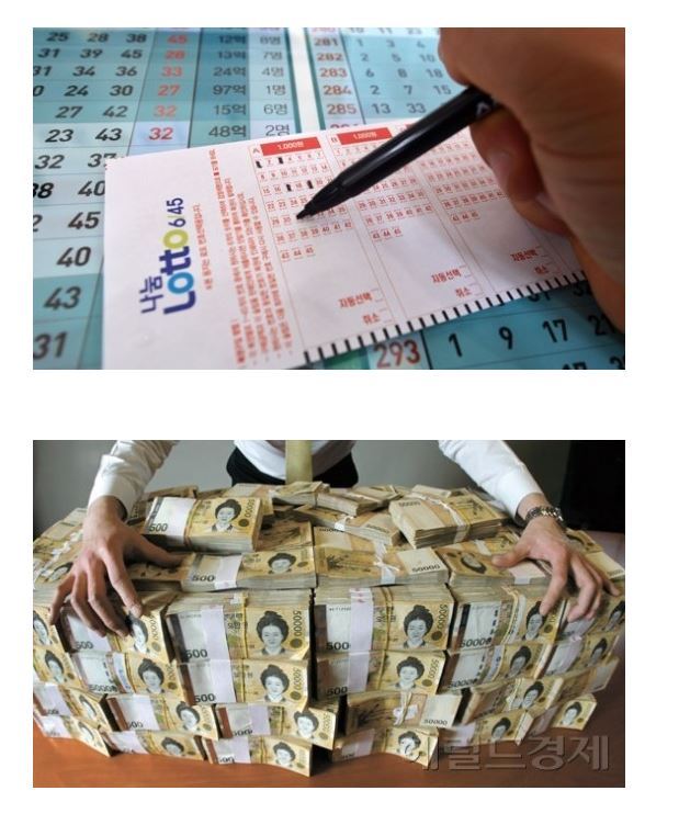 로또 1등 당첨되면 부모님에게 알린다 vs 혼자만 알고있는다 | 인스티즈