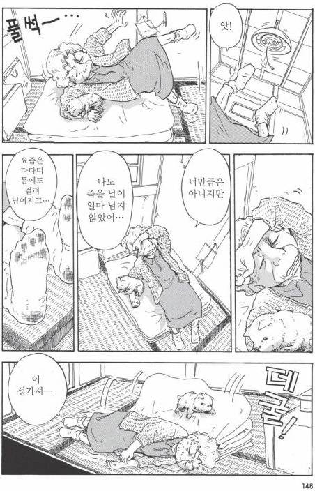 개를 주워 오면 안되는 이유 | 인스티즈