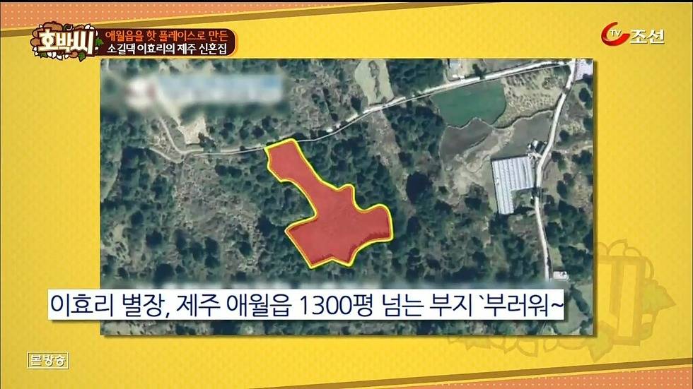 이효리-이상순 부부가 산다는 제주시 애월읍 | 인스티즈