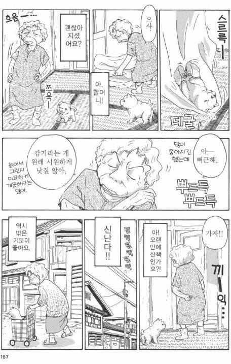 개를 주워 오면 안되는 이유 | 인스티즈