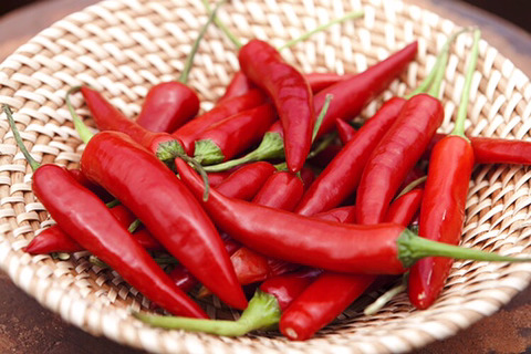 고통스러운 맛을 즐기는 사람들 특징.jpg | 인스티즈