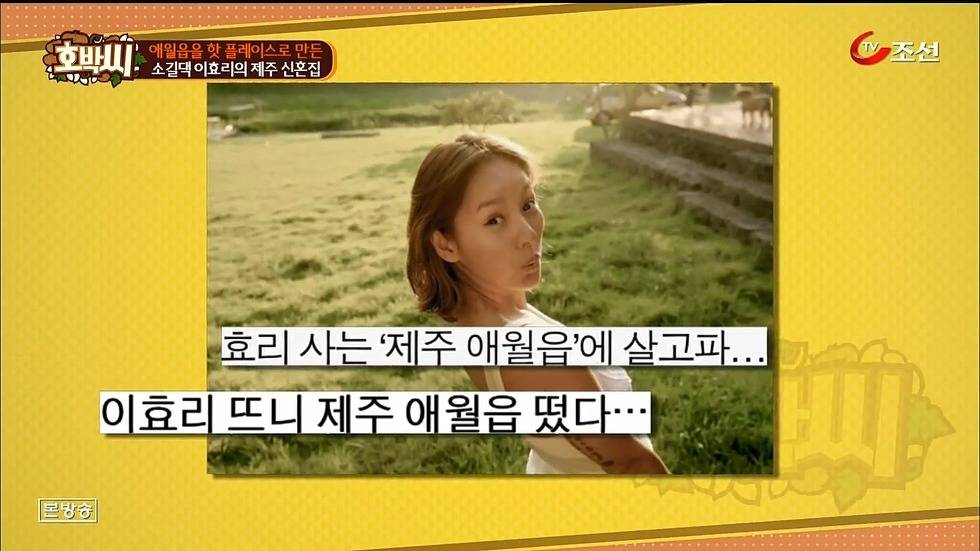 이효리-이상순 부부가 산다는 제주시 애월읍 | 인스티즈