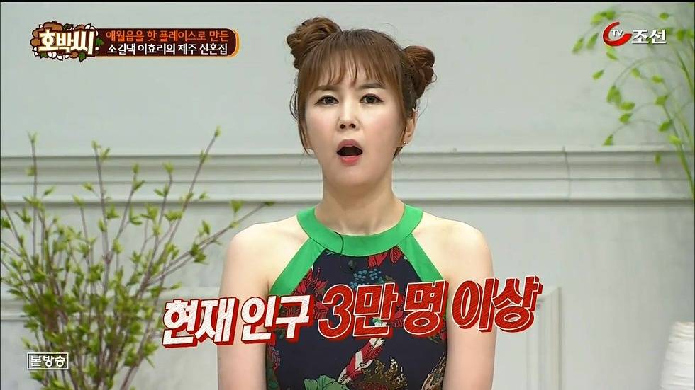 이효리-이상순 부부가 산다는 제주시 애월읍 | 인스티즈