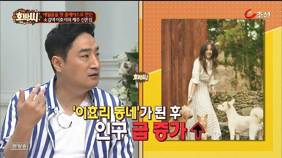 이효리-이상순 부부가 산다는 제주시 애월읍 | 인스티즈