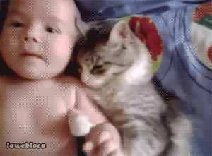 사람과 동물들 (움짤 다수) | 인스티즈