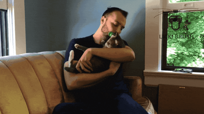 신개념 고양이빗.jpg | 인스티즈