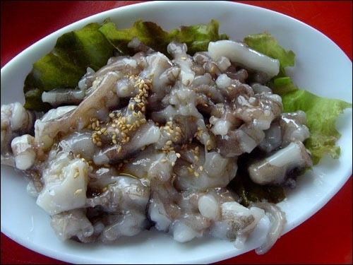 다이어트 하는분 들어오세요 | 인스티즈