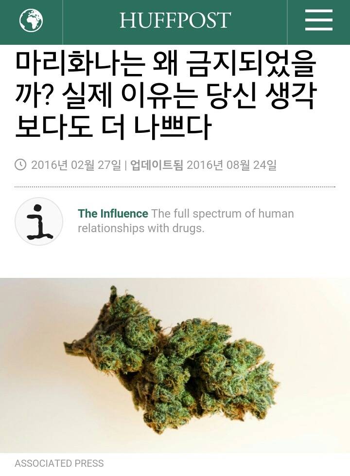 마리화나는 왜 금지되었을까? 실제 이유는 당신 생각보다도 더 나쁘다 | 인스티즈