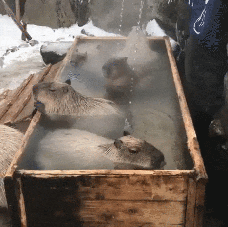 여기가 천국입니까? | 인스티즈