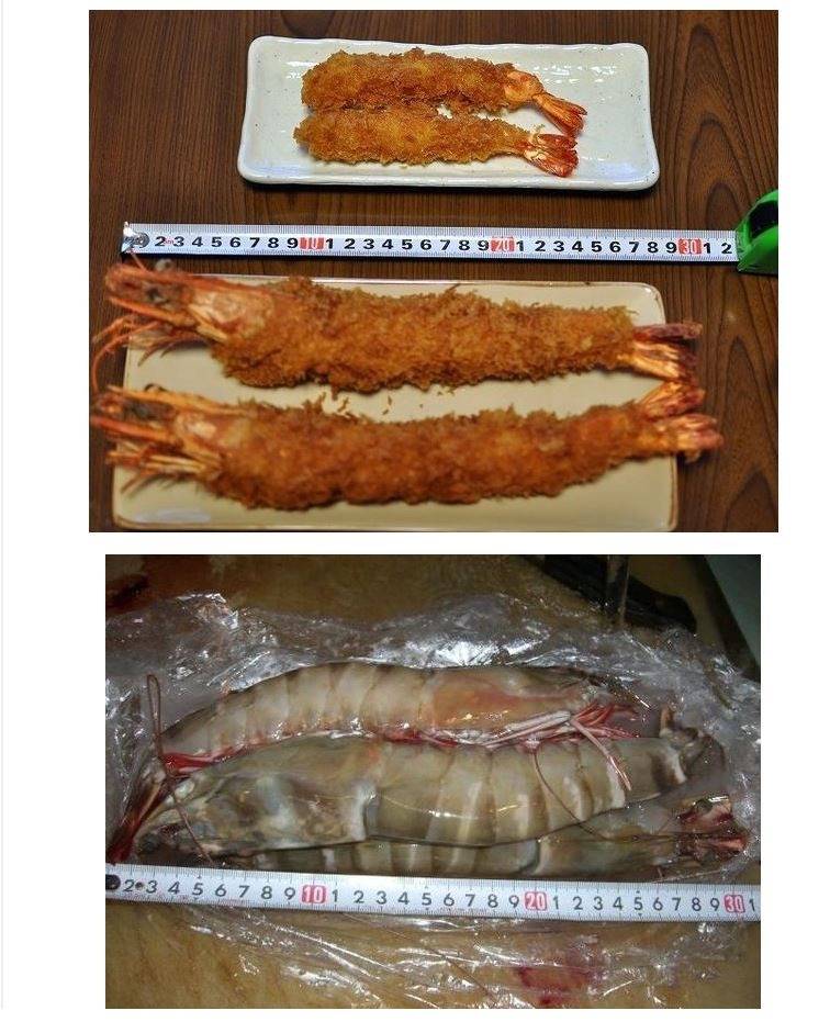 한국에서는 보기힘든 일본 왕 새우 튀김 | 인스티즈