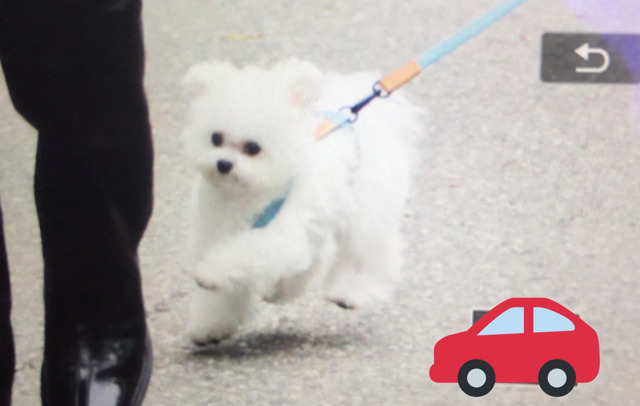 오늘자 다비치 남다른 출근길ㅋㅋㅋㅋㅋㅋ | 인스티즈