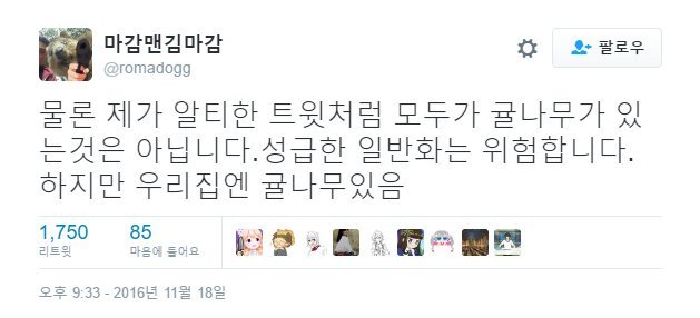 제주도라고 다 귤농사 짓고 그런다는 거 편견이야.twt | 인스티즈