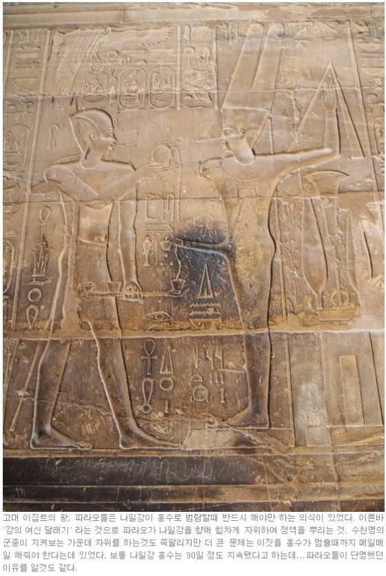 이집트 최악의 직업 | 인스티즈