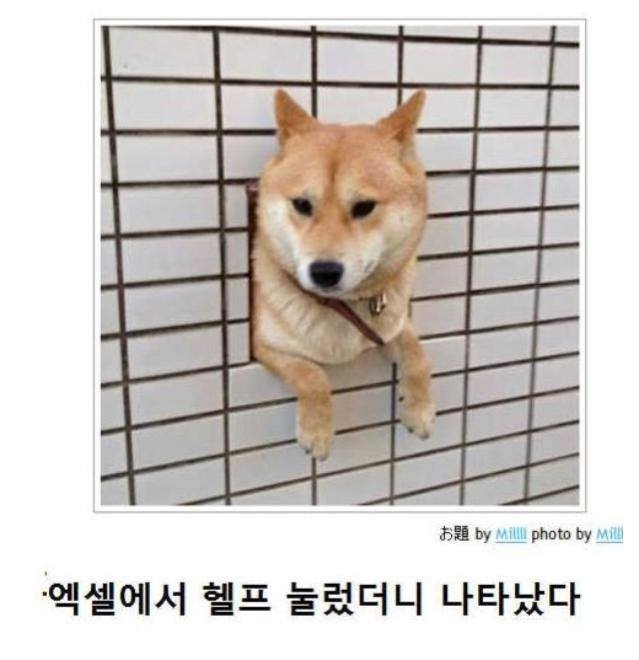 제목학원 레전드 베스트.jpg | 인스티즈