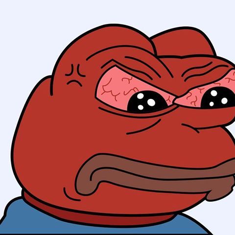 제주도라고 다 귤농사 짓고 그런다는 거 편견이야.twt | 인스티즈