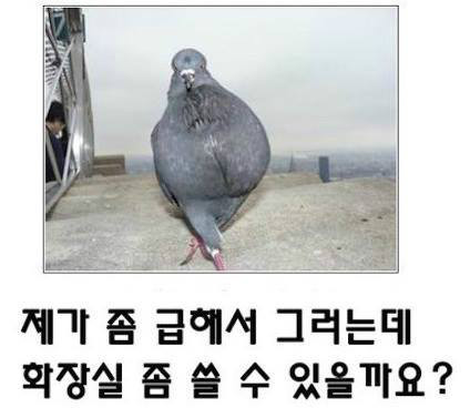 제목학원 레전드 베스트.jpg | 인스티즈