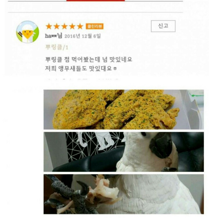 배달앱 레전드 모음.jpg | 인스티즈