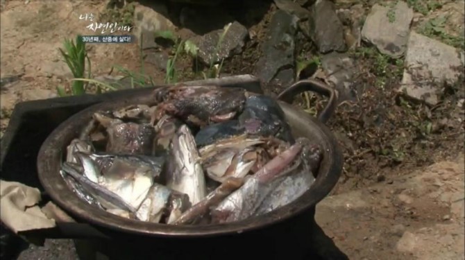 자신의 최애 연예인이 자연인이면 결혼한다 vs안한다 | 인스티즈