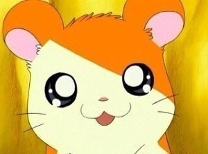 자신의 최애 연예인이 자연인이면 결혼한다 vs안한다 | 인스티즈