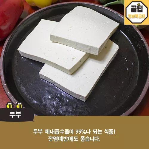 개에게 먹이면 좋은음식 | 인스티즈