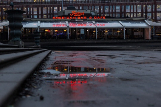  외로움이 살갗을 파고든다 | 인스티즈