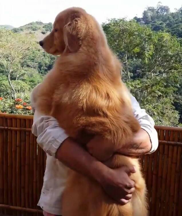 자기가 아직도 애기인줄 아는 왕 인절미 | 인스티즈