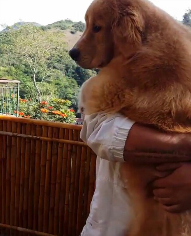 자기가 아직도 애기인줄 아는 왕 인절미 | 인스티즈