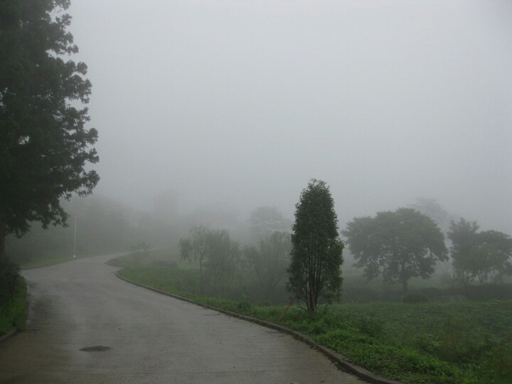 여름에 제일 싫은것 "더위 vs 습도 vs 벌레 | 인스티즈