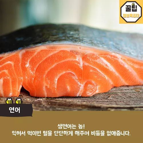 개에게 먹이면 좋은음식 | 인스티즈