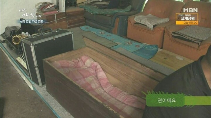 자신의 최애 연예인이 자연인이면 결혼한다 vs안한다 | 인스티즈