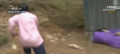 자신의 최애 연예인이 자연인이면 결혼한다 vs안한다 | 인스티즈