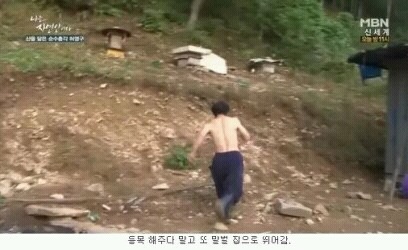 자신의 최애 연예인이 자연인이면 결혼한다 vs안한다 | 인스티즈